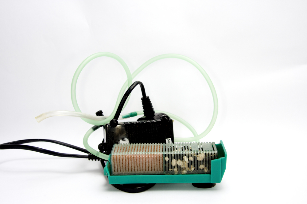 Fish Tank Filter Troubles? Here’s How to Catch the Problem Early