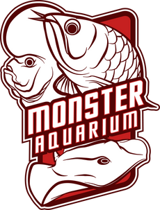 monsteraquariumonline